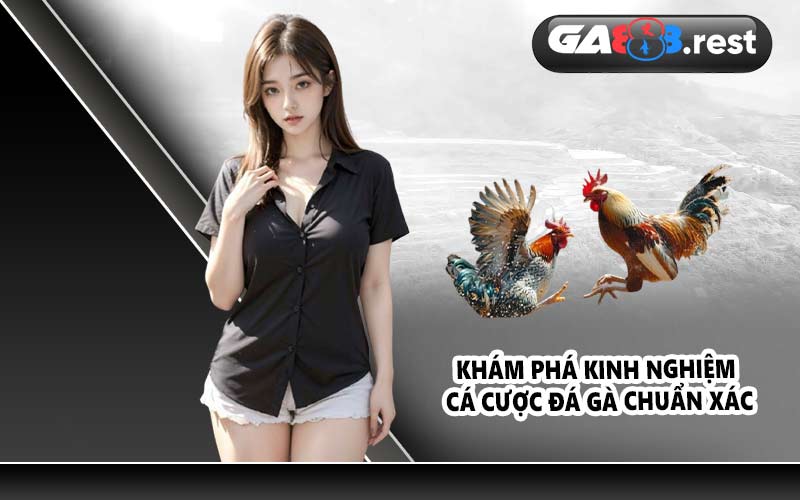 Khám phá kinh nghiệm cá cược đá gà chuẩn xác